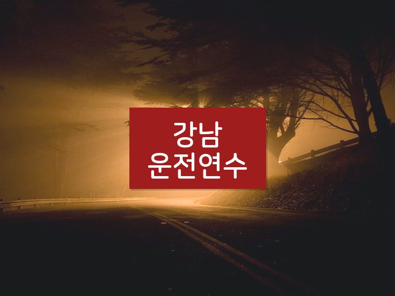 강남운전연수 후기