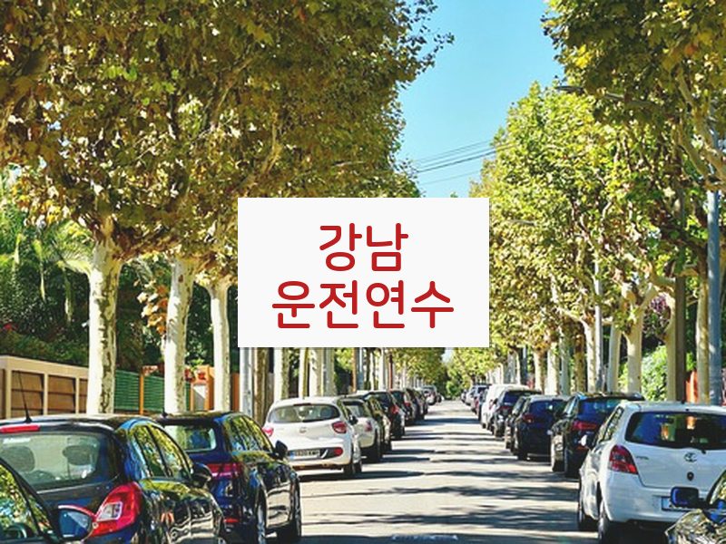 강남운전연수 후기
