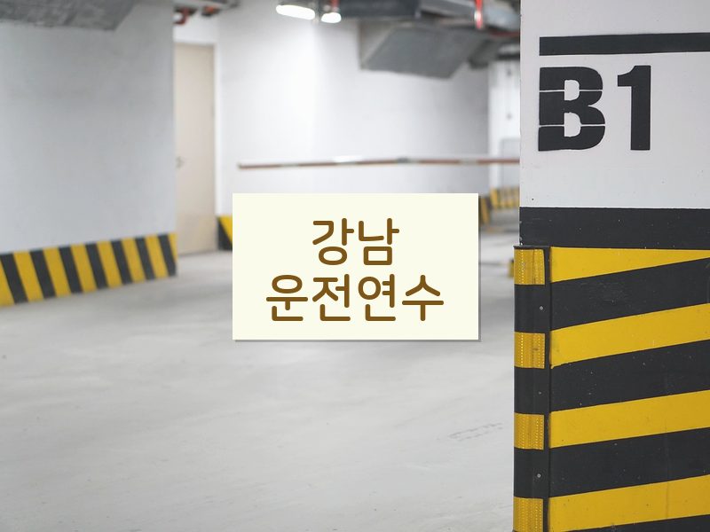 강남운전연수 후기