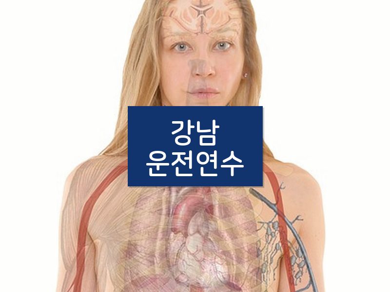 강남운전연수 후기