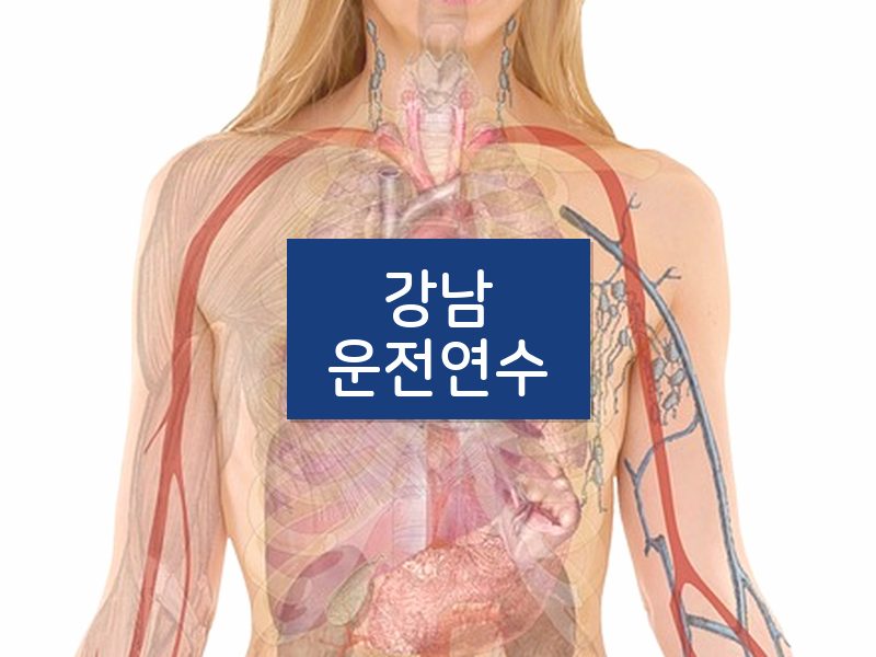 강남운전연수 후기