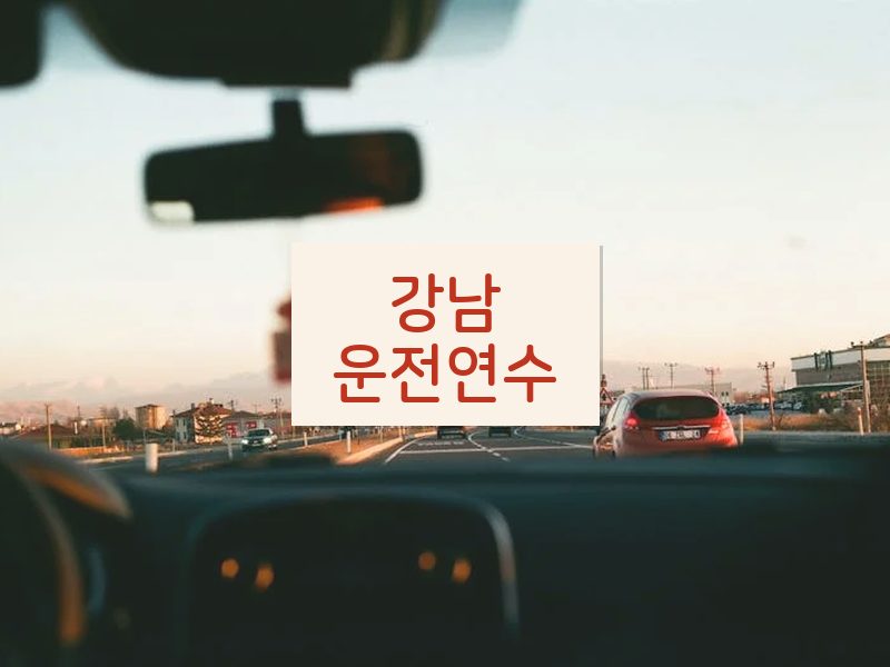 강남운전연수 후기