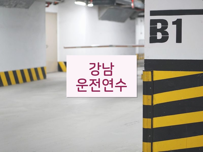 강남운전연수 후기