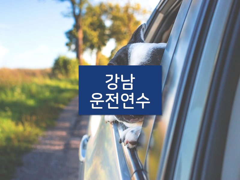 강남운전연수 후기