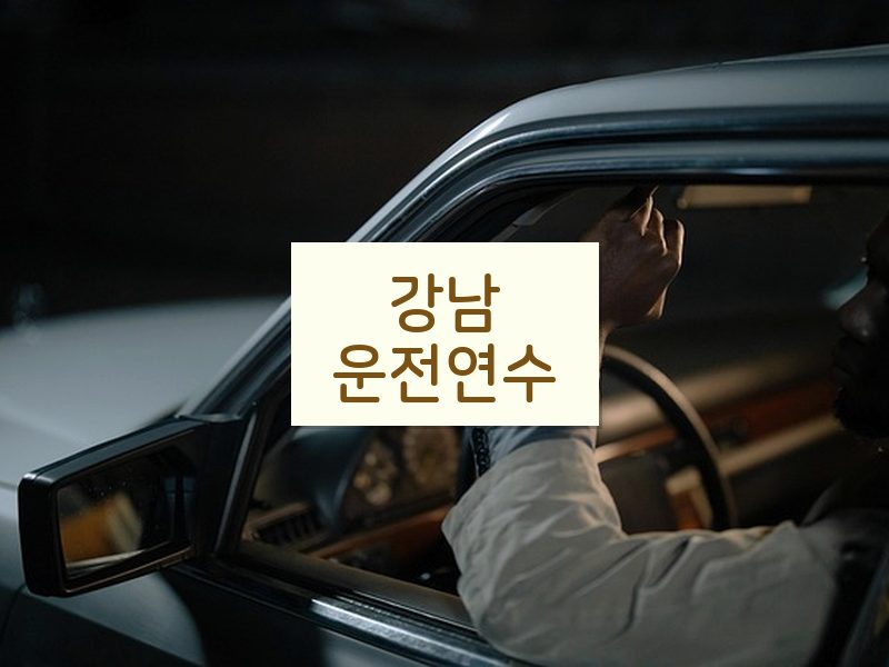 강남운전연수 후기