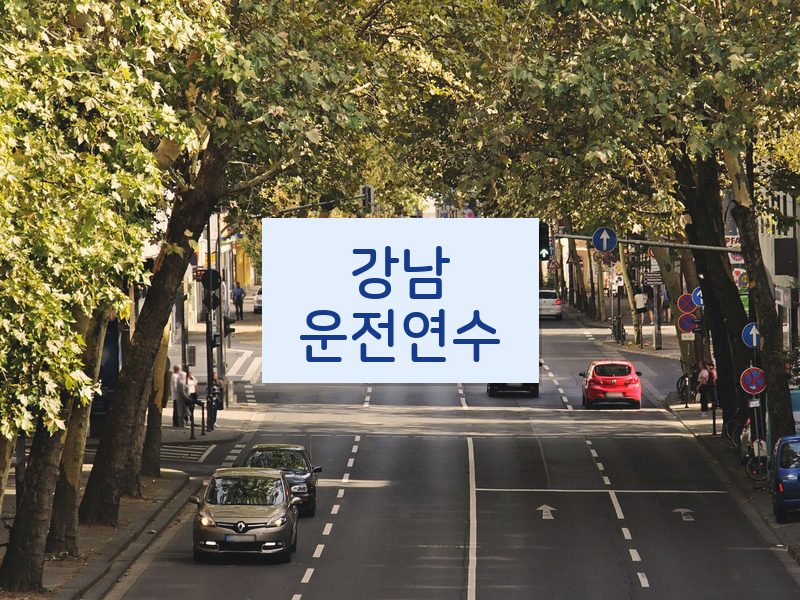 강남운전연수 후기