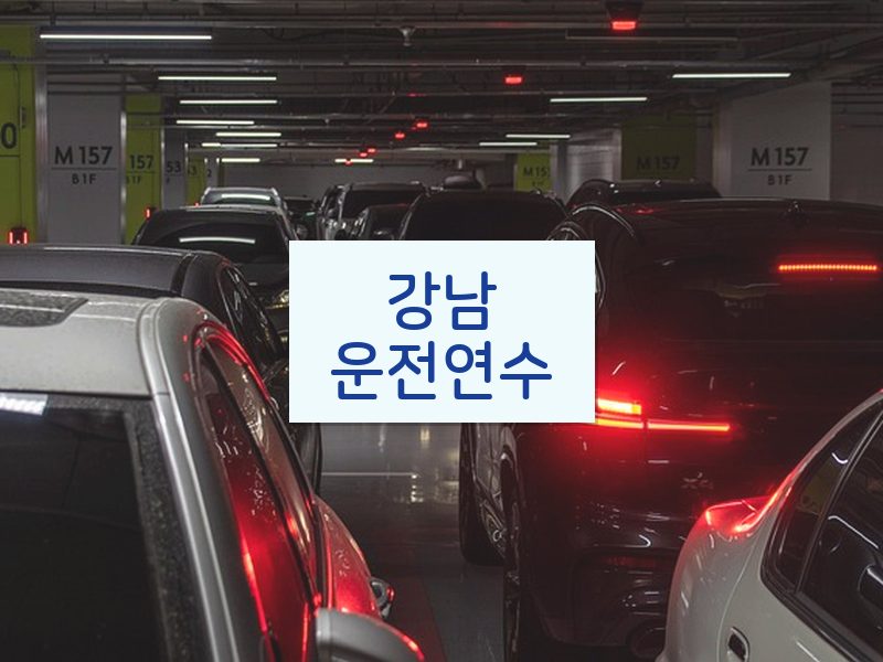 강남운전연수 후기