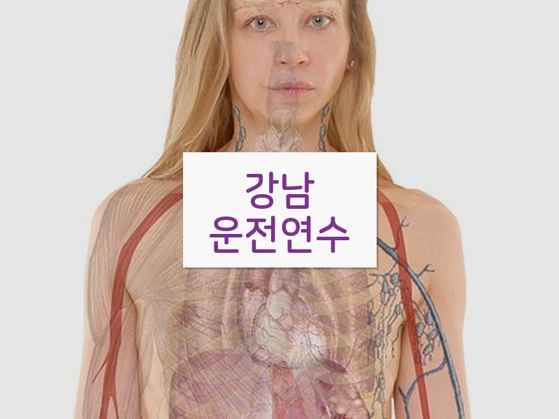 강남운전연수 후기