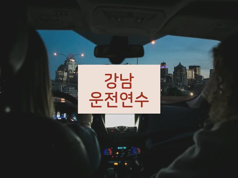 강남운전연수 후기