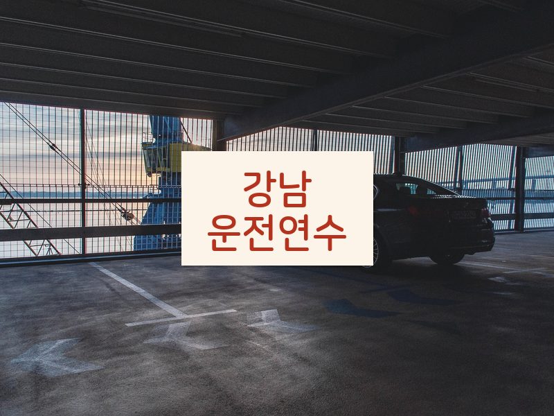 강남운전연수 후기