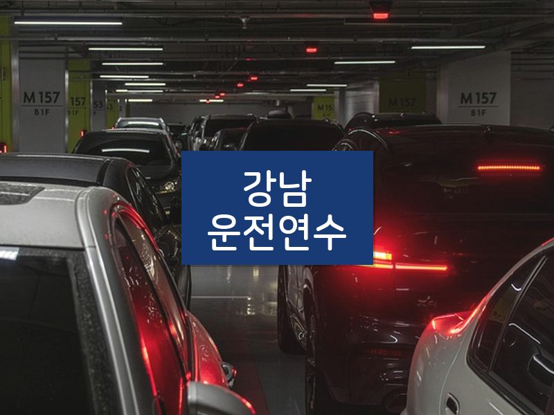 강남운전연수 후기