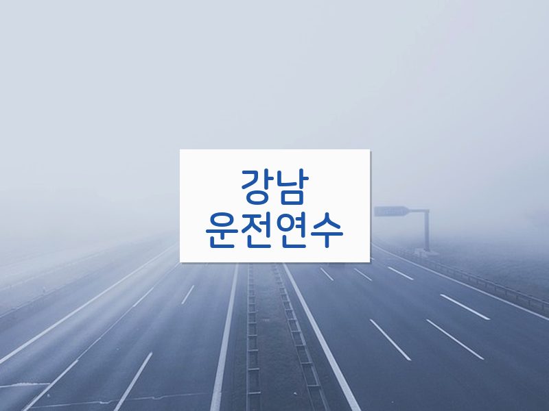 강남운전연수 후기