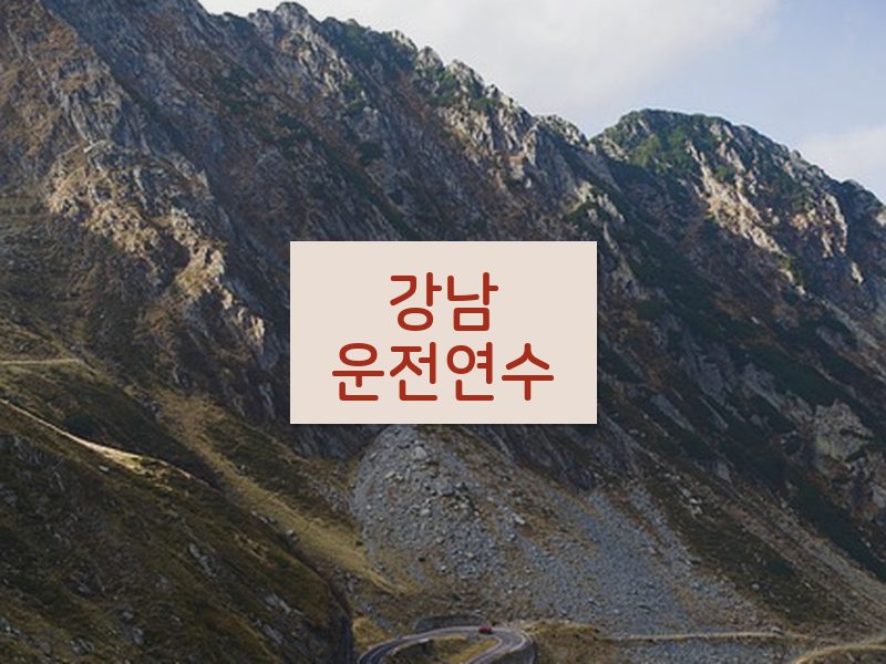 강남운전연수 후기