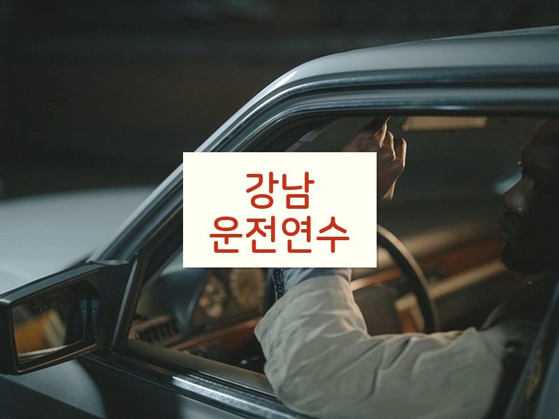 강남운전연수 후기