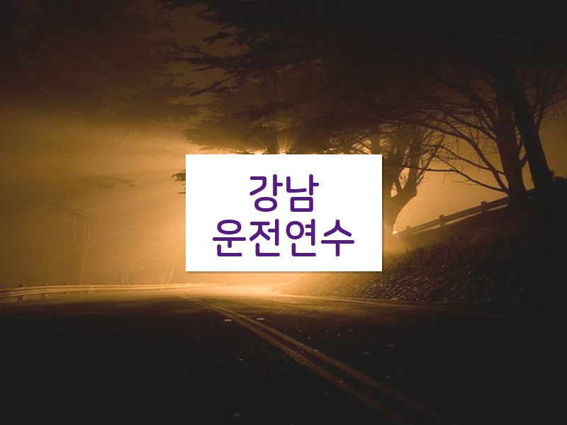 강남운전연수 후기