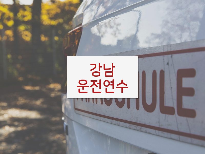 강남운전연수 후기