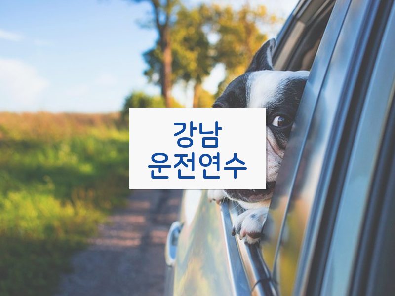 강남운전연수 후기