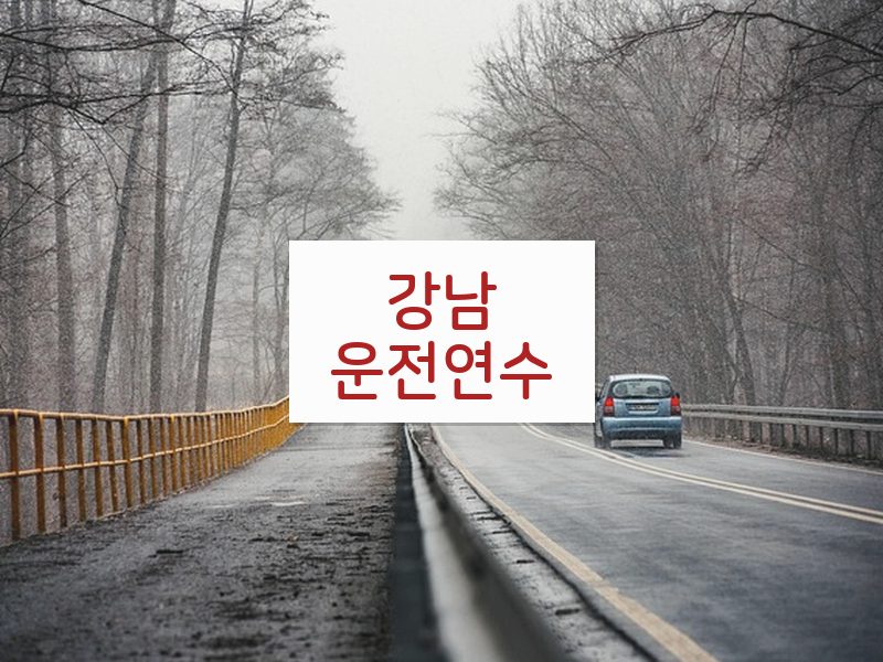 강남운전연수 후기