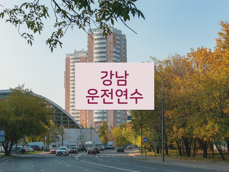 강남운전연수 후기