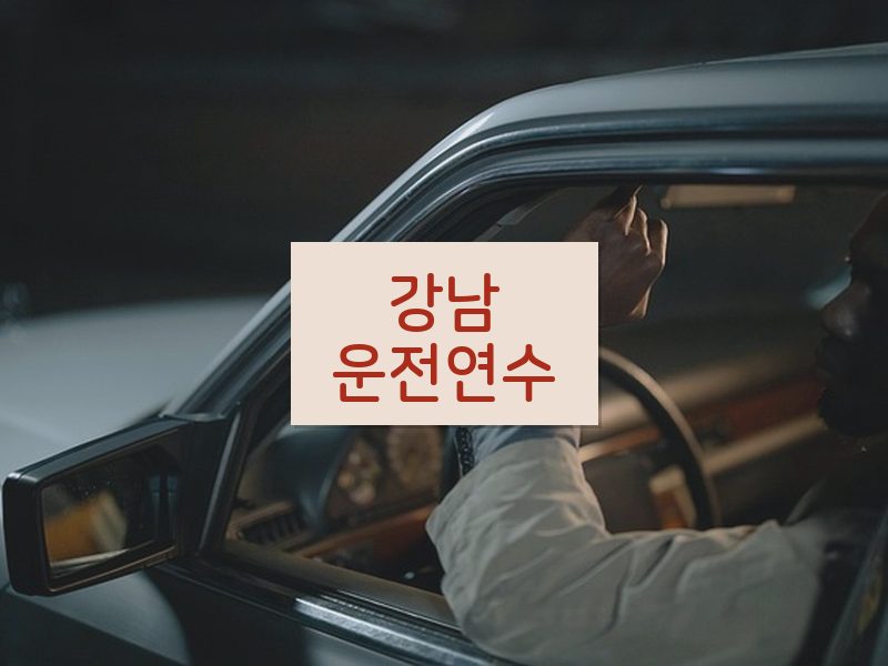 강남운전연수 후기