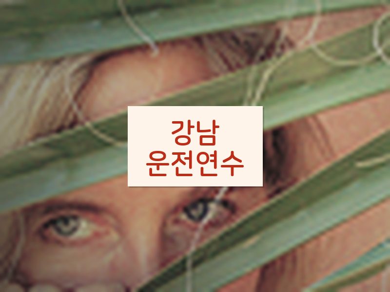 강남운전연수 후기