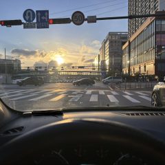 혼잡한 시간 운전 연습 후기 이미지