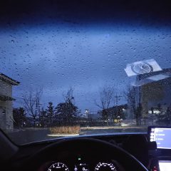 가족 모임 편하게 다니기