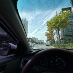 첫 highway 운전 성공! 소름 돋는 경험!