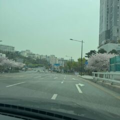 간격 좁은 주차장도 이겨내요!