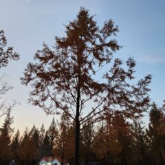 전문가 강사 추천