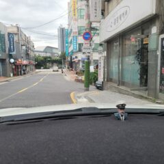 강남운전연수 꼼꼼하게 배웠어요