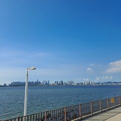 강남대로 운전이 정말 무서워 후기 이미지