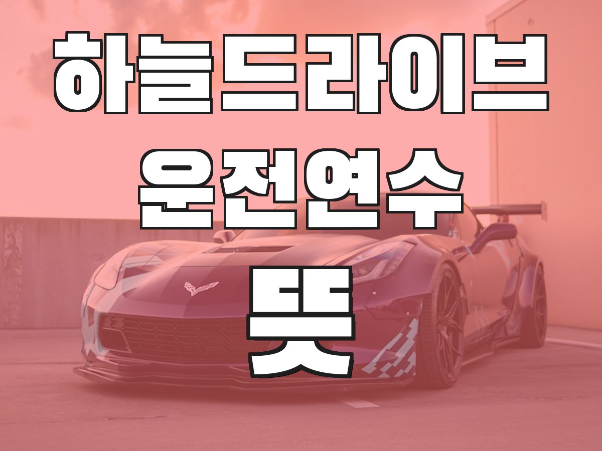 하늘드라이브 운전연수 뜻 - 운전연수의 의미와 필요성