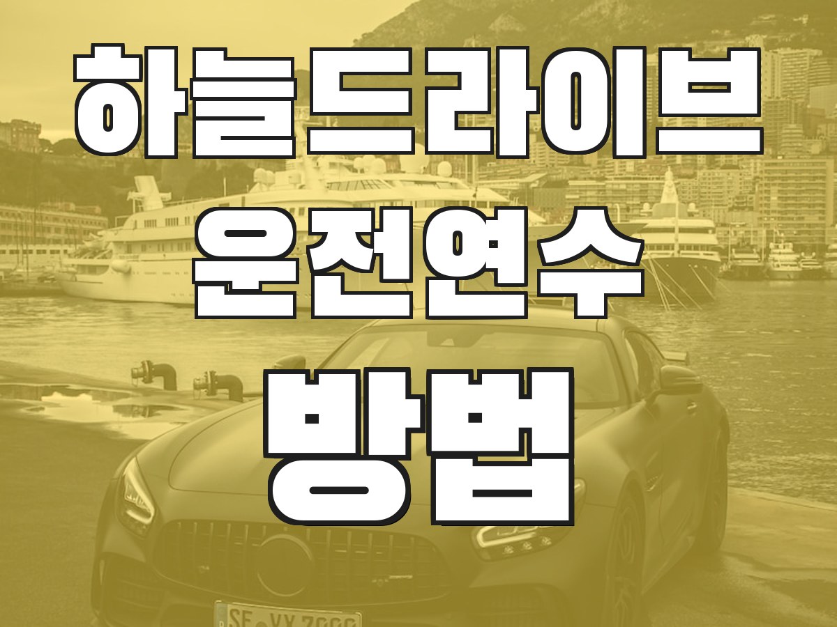 하늘드라이브 운전연수 방법 - 연수 진행 과정 안내