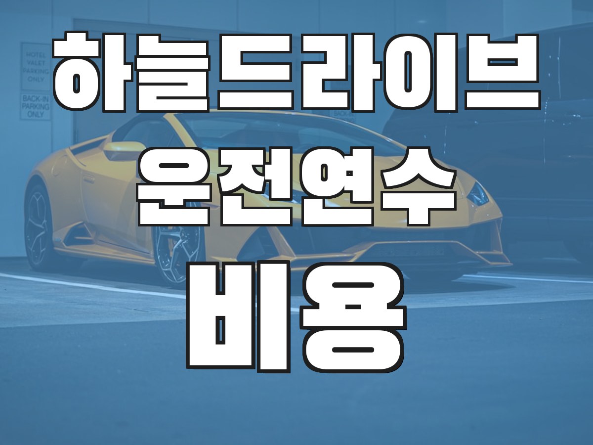 하늘드라이브 운전연수 비용 - 연수 비용 안내