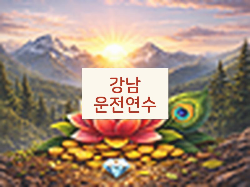 강남운전연수 후기