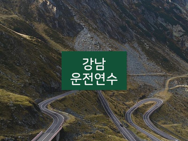강남운전연수 후기