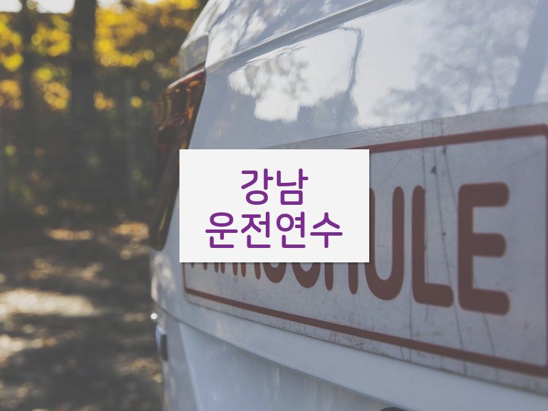강남운전연수 후기
