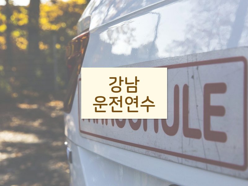 강남운전연수 후기