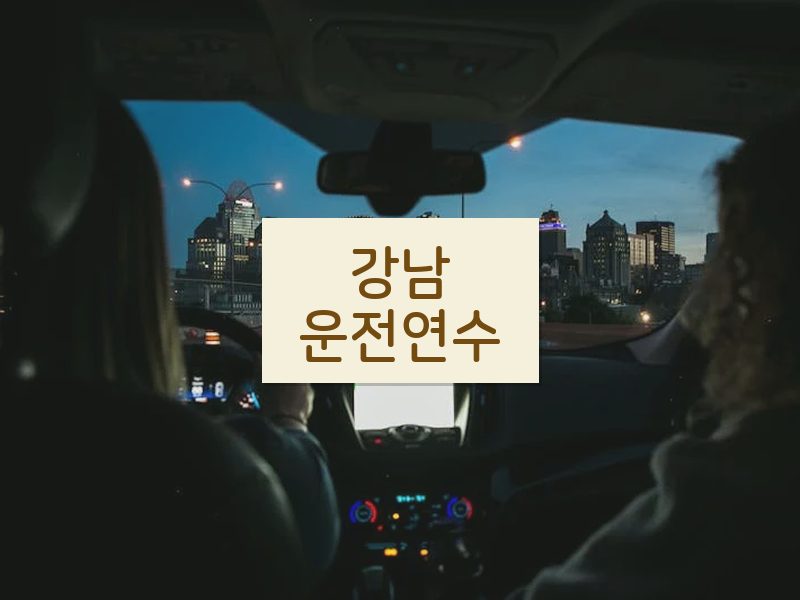 강남운전연수 후기