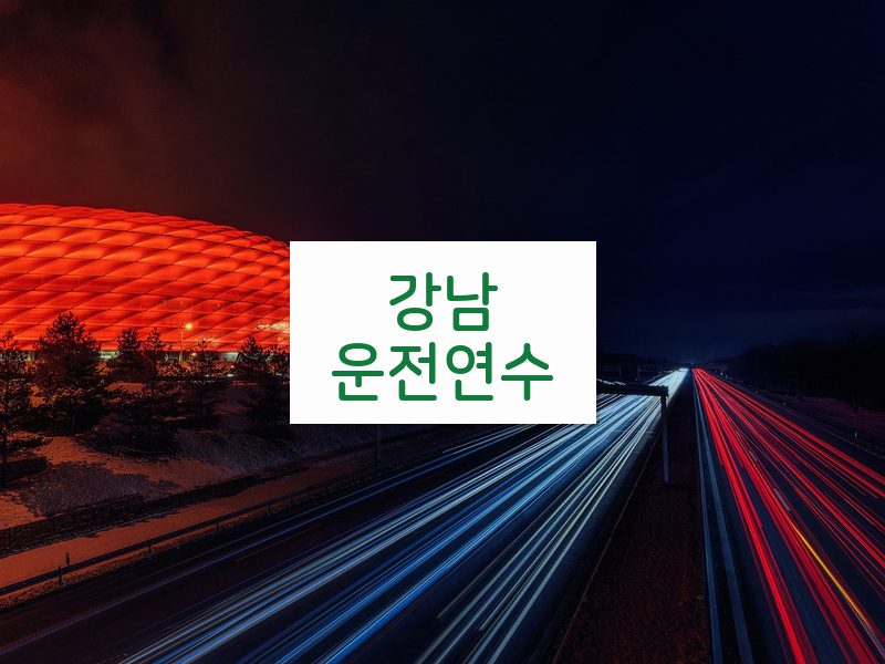 강남운전연수 후기
