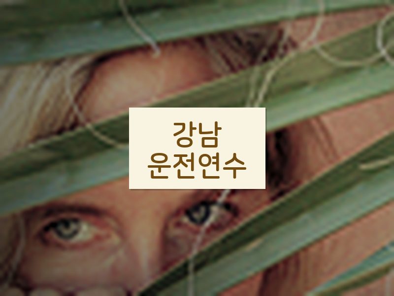 강남운전연수 후기