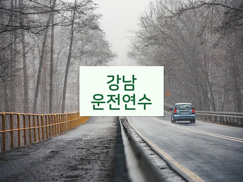 강남운전연수 후기