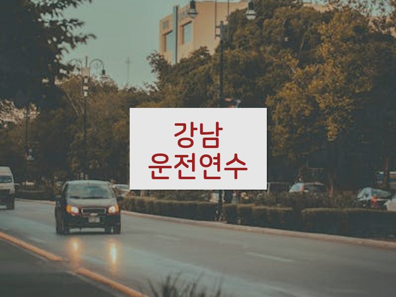 강남운전연수 후기