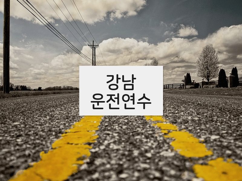 강남운전연수 후기