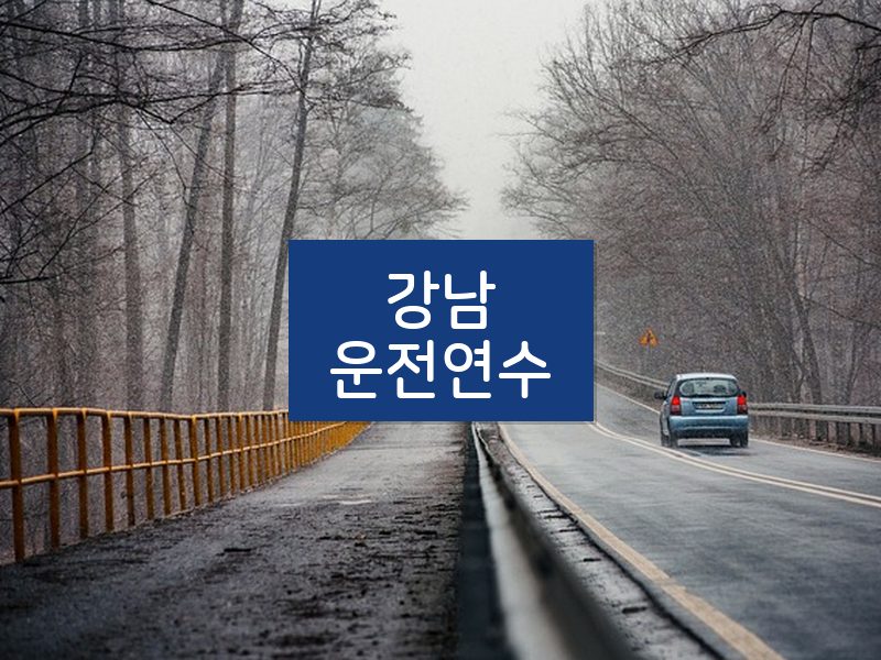 강남운전연수 후기