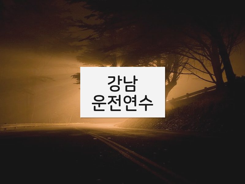 강남운전연수 후기