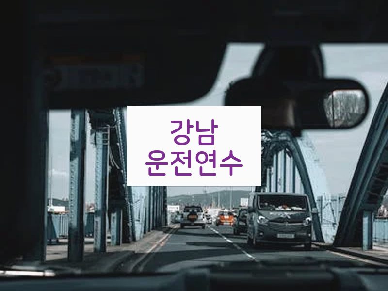 강남운전연수 후기