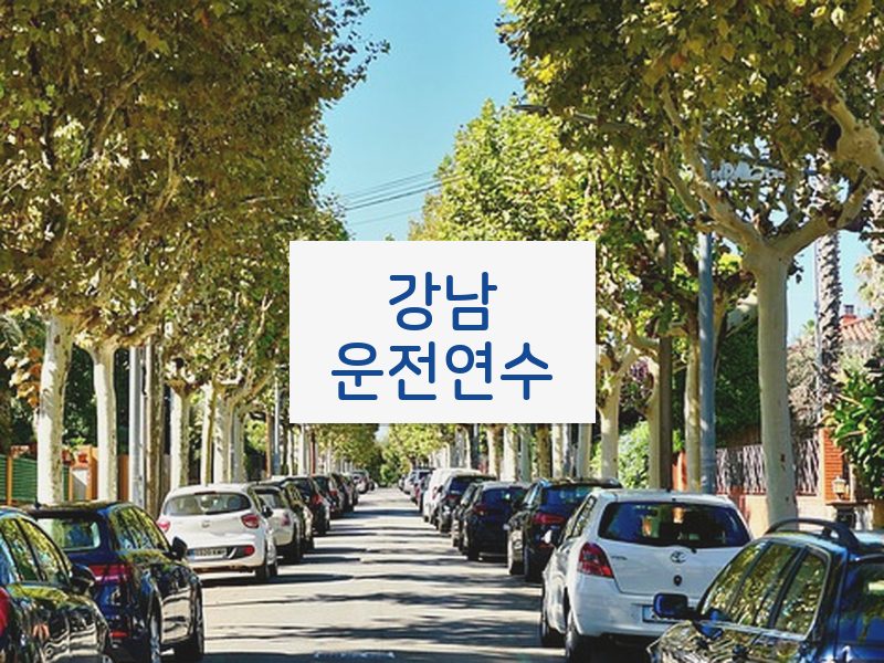 강남운전연수 후기