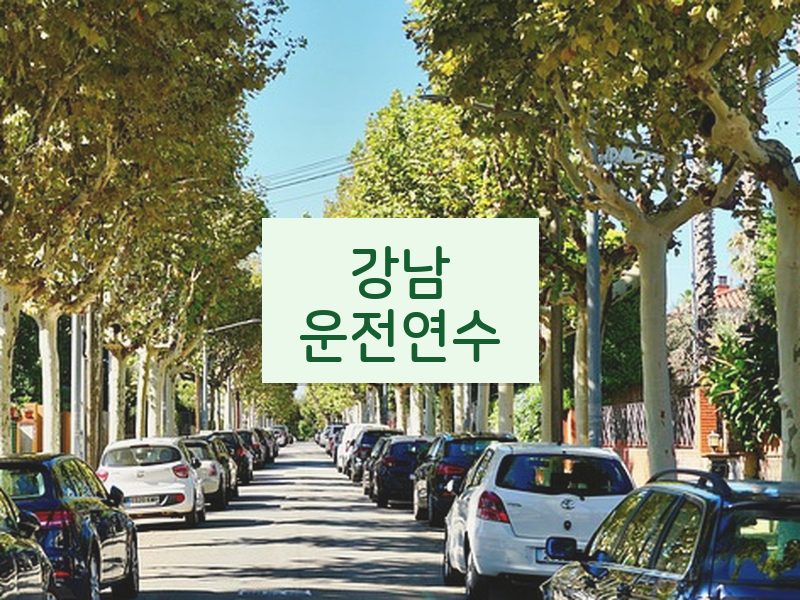 강남운전연수 후기